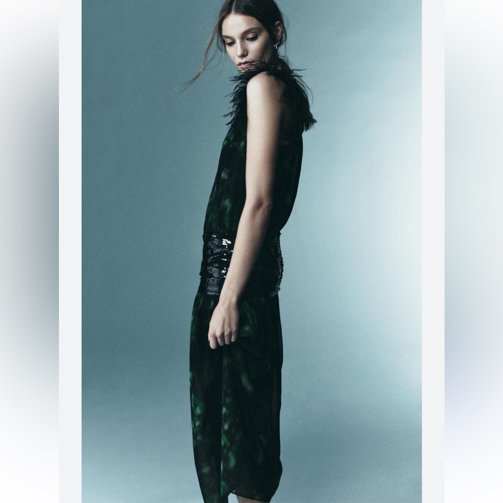 Zara Limited Combination Printed Maxi Dress Green Feather Sequin Evening Med NWT - Picture 4 of 17